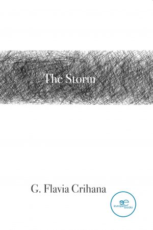 THE STORM – Flavia Crihana